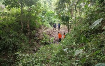 Pria 40 Tahun Hilang di Pegunungan Walenrang, Tim SAR Masih Lakukan Pencarian