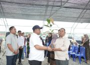Bupati Luwu Tinjau Pembibitan Kakao, Dorong Percepatan Program Bantuan Presiden