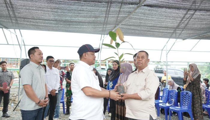 Bupati Luwu Tinjau Pembibitan Kakao, Dorong Percepatan Program Bantuan Presiden
