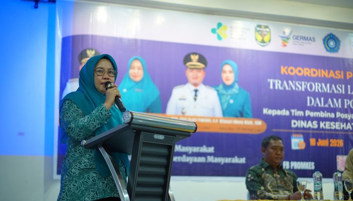 Baru 10 Persen Posyandu di Luwu Terapkan Enam SPM, TP PKK Perkuat Transformasi Posyandu Era Baru