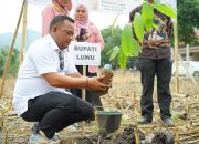Bupati Luwu Pastikan Pendampingan Petani hingga Hilirisasi Kakao