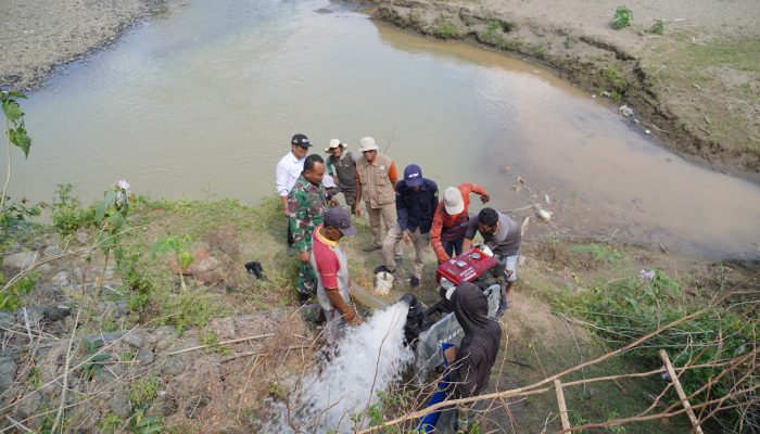 Bupati Luwu Turun Langsung Atasi Kekeringan Sawah, 48 Pompa Air Disiapkan